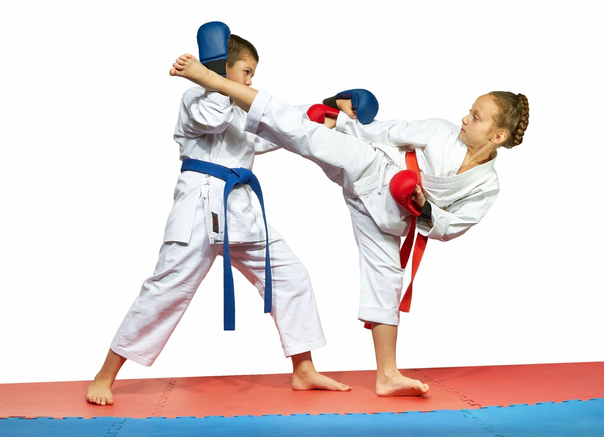 parent and guardian martial arts scholarships