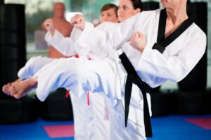 martial arts scholarship