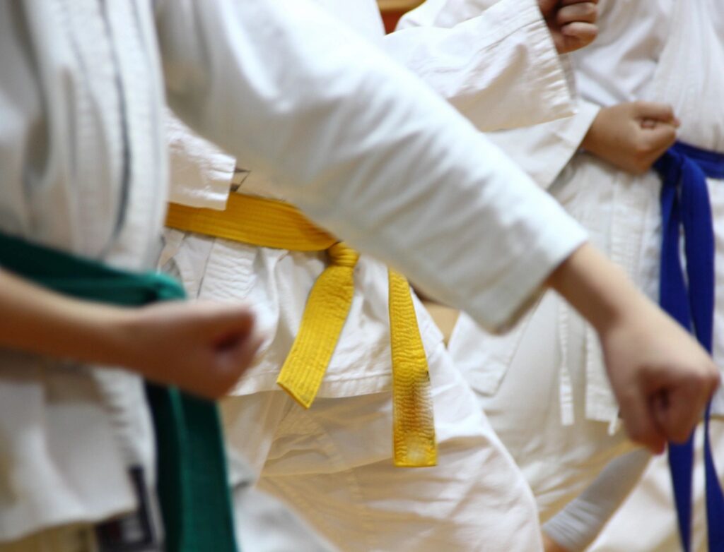 parent and guardian martial arts scholarships